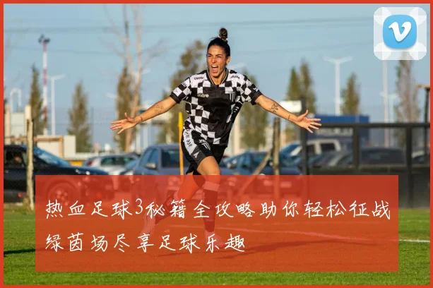 热血足球3秘籍全攻略助你轻松征战绿茵场尽享足球乐趣