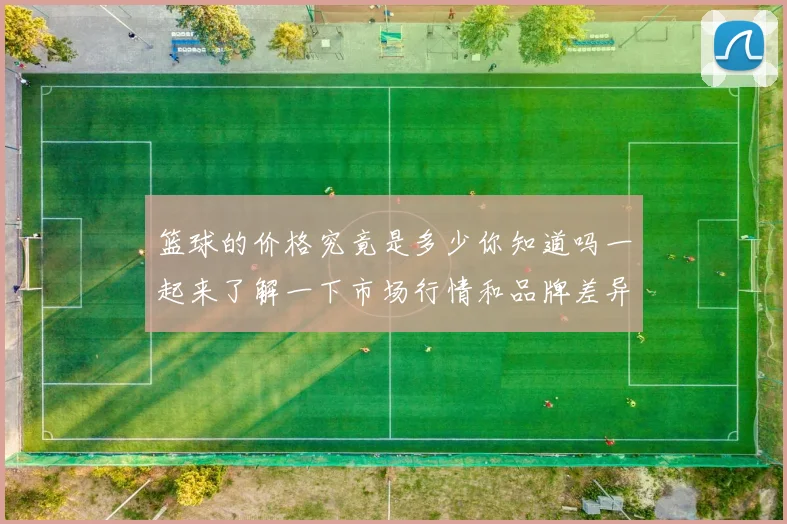 篮球的价格究竟是多少你知道吗一起来了解一下市场行情和品牌差异