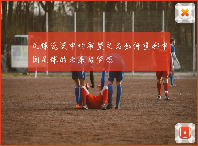 足球荒漠中的希望之光如何重燃中国足球的未来与梦想